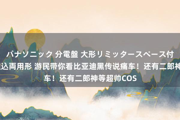 パナソニック 分電盤 大形リミッタースペース付 露出・半埋込両用形 游民带你看比亚迪黑传说痛车！还有二郎神等超帅COS