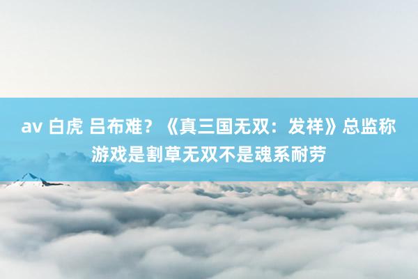 av 白虎 吕布难？《真三国无双：发祥》总监称游戏是割草无双不是魂系耐劳