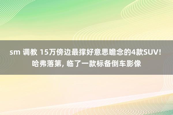 sm 调教 15万傍边最撑好意思瞻念的4款SUV! 哈弗落第， 临了一款标备倒车影像