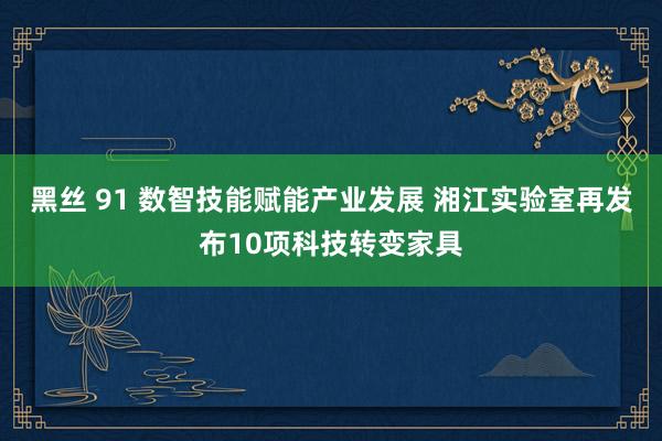 黑丝 91 数智技能赋能产业发展 湘江实验室再发布10项科技转变家具