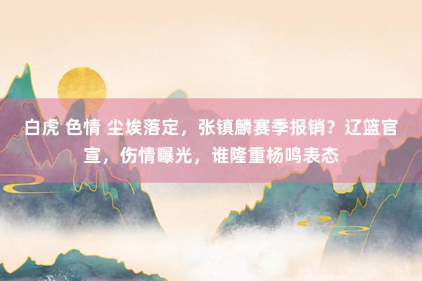 白虎 色情 尘埃落定，张镇麟赛季报销？辽篮官宣，伤情曝光，谁隆重杨鸣表态