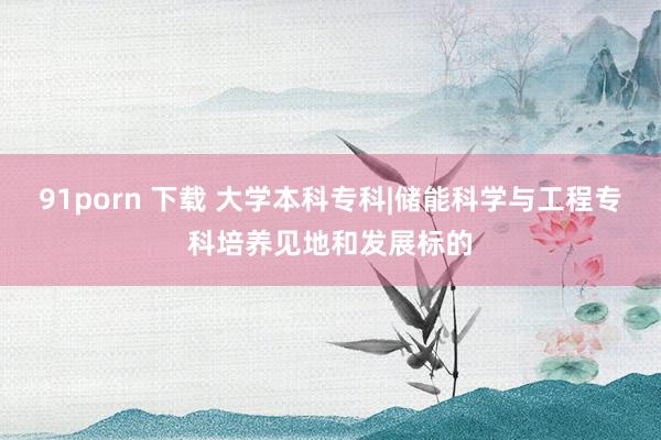 91porn 下载 大学本科专科|储能科学与工程专科培养见地和发展标的