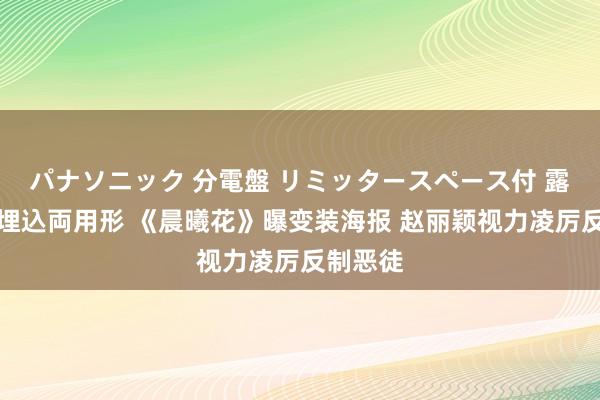 パナソニック 分電盤 リミッタースペース付 露出・半埋込両用形 《晨曦花》曝变装海报 赵丽颖视力凌厉反制恶徒