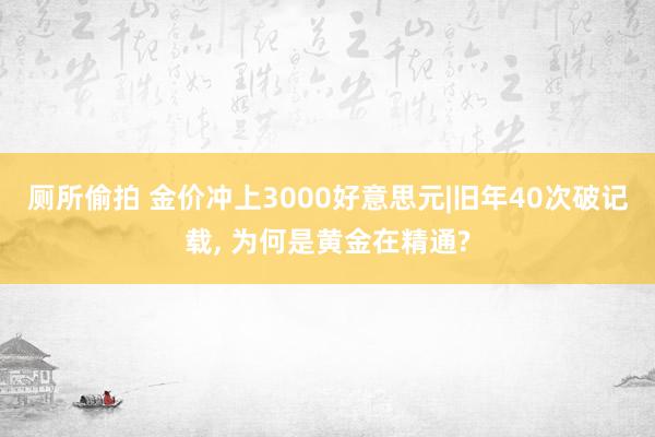 厕所偷拍 金价冲上3000好意思元|旧年40次破记载， 为何是黄金在精通?