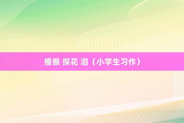 瘦猴 探花 泪（小学生习作）