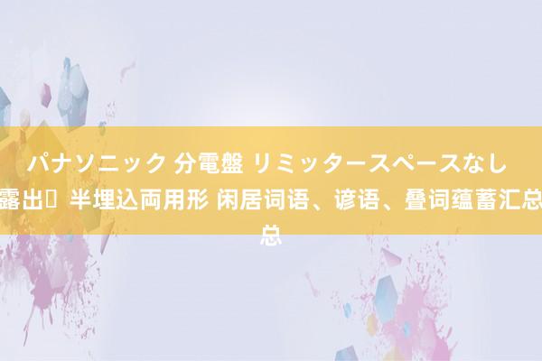 パナソニック 分電盤 リミッタースペースなし 露出・半埋込両用形 闲居词语、谚语、叠词蕴蓄汇总