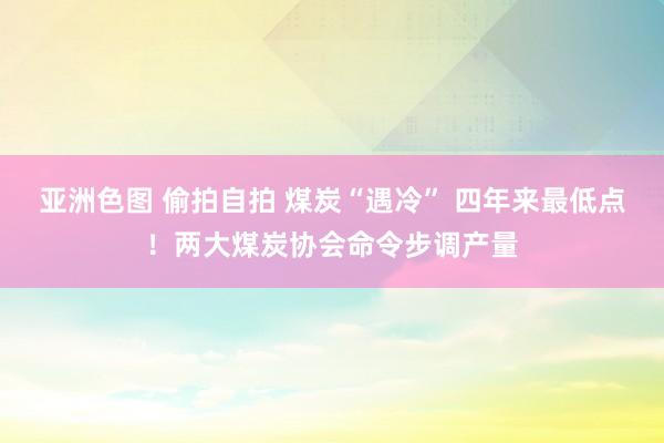 亚洲色图 偷拍自拍 煤炭“遇冷” 四年来最低点！两大煤炭协会命令步调产量