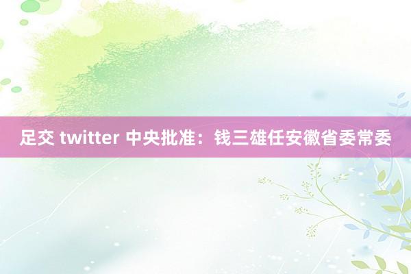 足交 twitter 中央批准：钱三雄任安徽省委常委