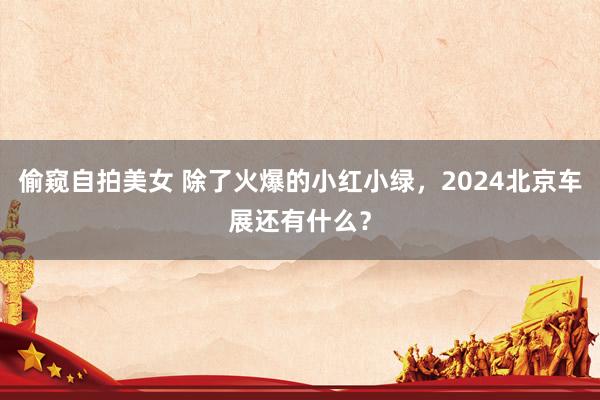 偷窥自拍美女 除了火爆的小红小绿，2024北京车展还有什么？