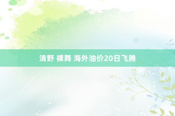 清野 裸舞 海外油价20日飞腾
