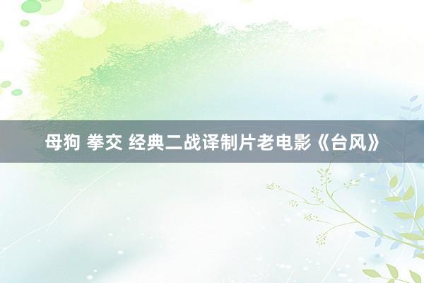 母狗 拳交 经典二战译制片老电影《台风》