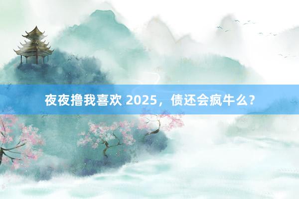 夜夜撸我喜欢 2025，债还会疯牛么？