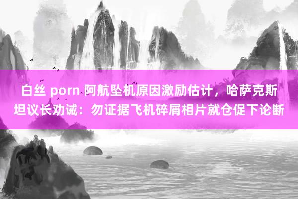 白丝 porn 阿航坠机原因激励估计，哈萨克斯坦议长劝诫：勿证据飞机碎屑相片就仓促下论断