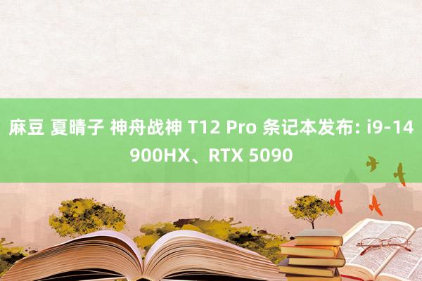 麻豆 夏晴子 神舟战神 T12 Pro 条记本发布: i9-14900HX、RTX 5090