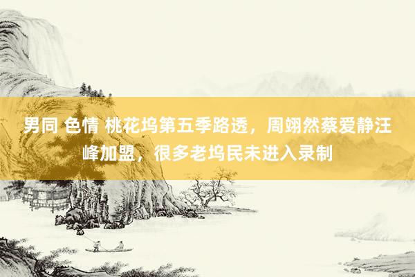 男同 色情 桃花坞第五季路透，周翊然蔡爱静汪峰加盟，很多老坞民未进入录制