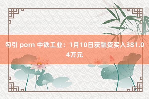 勾引 porn 中铁工业：1月10日获融资买入381.04万元