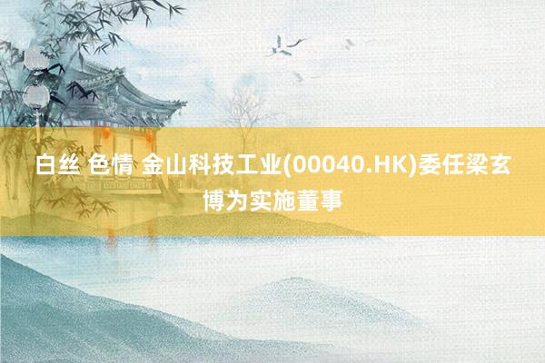 白丝 色情 金山科技工业(00040.HK)委任梁玄博为实施董事