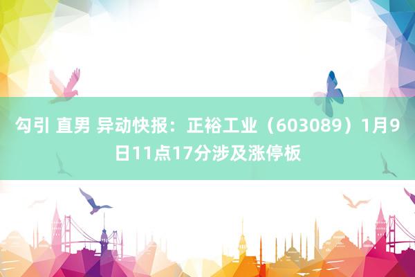 勾引 直男 异动快报：正裕工业（603089）1月9日11点17分涉及涨停板