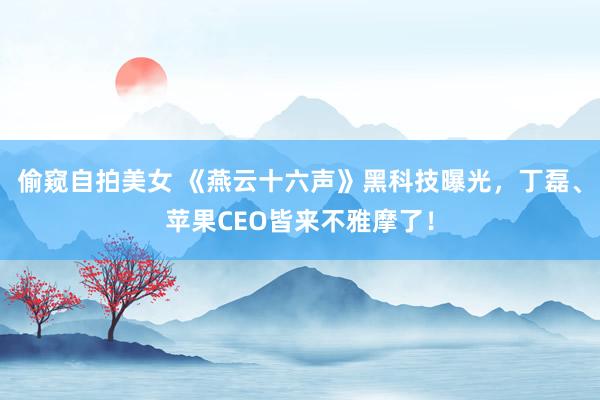 偷窥自拍美女 《燕云十六声》黑科技曝光，丁磊、苹果CEO皆来不雅摩了！