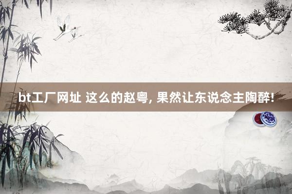 bt工厂网址 这么的赵粤， 果然让东说念主陶醉!