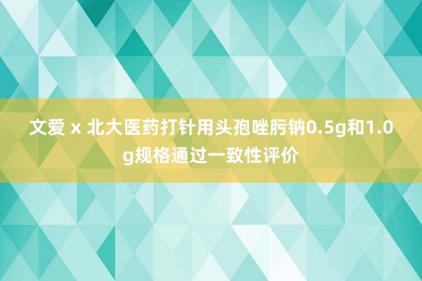 文爱 x 北大医药打针用头孢唑肟钠0.5g和1.0g规格通过一致性评价