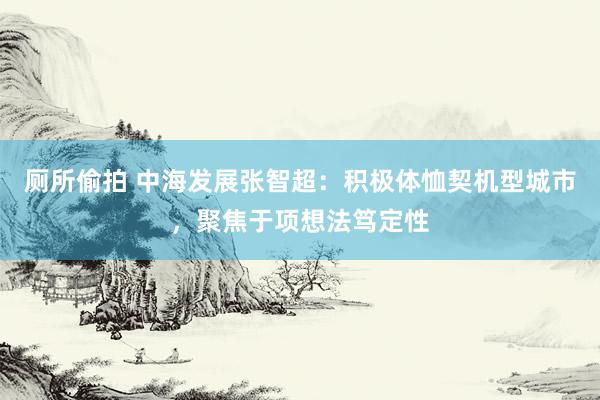 厕所偷拍 中海发展张智超：积极体恤契机型城市，聚焦于项想法笃定性