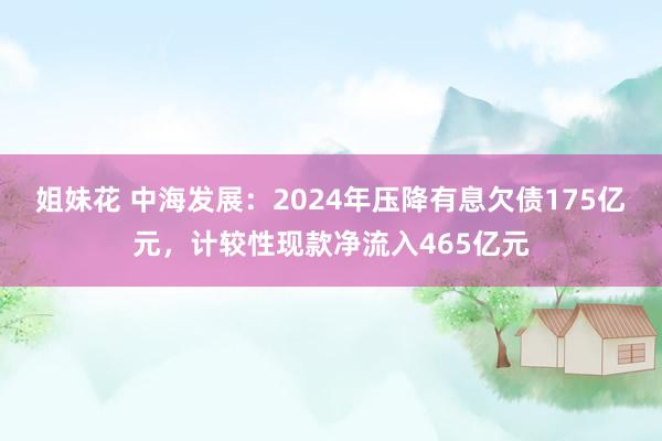 姐妹花 中海发展：2024年压降有息欠债175亿元，计较性现款净流入465亿元