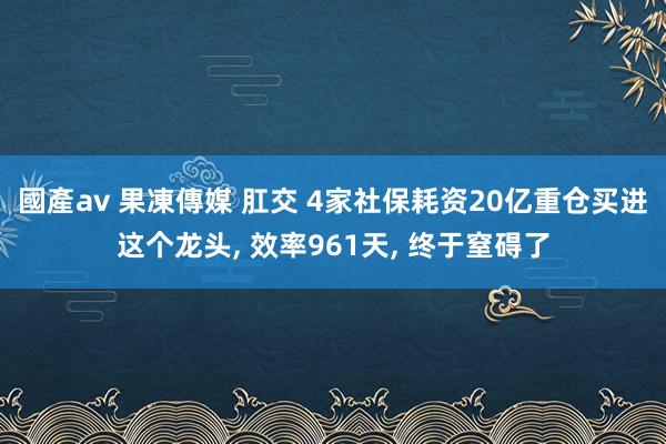 國產av 果凍傳媒 肛交 4家社保耗资20亿重仓买进这个龙头， 效率961天， 终于窒碍了