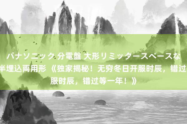 パナソニック 分電盤 大形リミッタースペースなし 露出・半埋込両用形 《独家揭秘！无穷冬日开服时辰，错过等一年！》