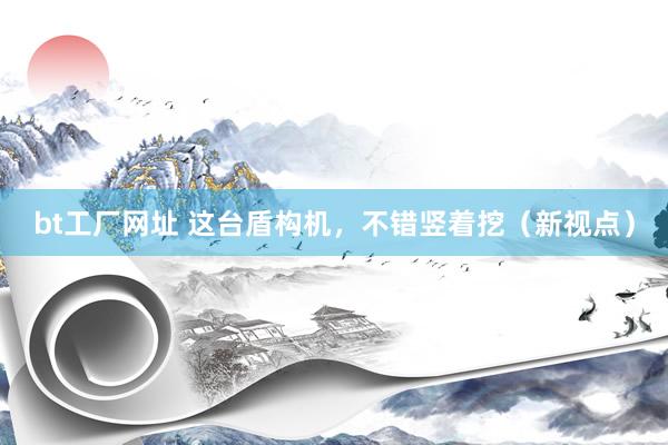 bt工厂网址 这台盾构机，不错竖着挖（新视点）