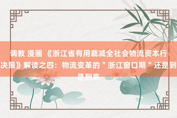 调教 漫画 《浙江省有用裁减全社会物流资本行径决策》解读之四：物流变革的＂浙江窗口期＂还是到来