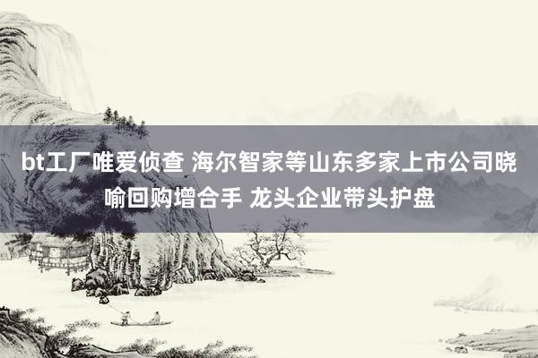 bt工厂唯爱侦查 海尔智家等山东多家上市公司晓喻回购增合手 龙头企业带头护盘