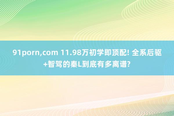 91porn，com 11.98万初学即顶配! 全系后驱+智驾的秦L到底有多离谱?