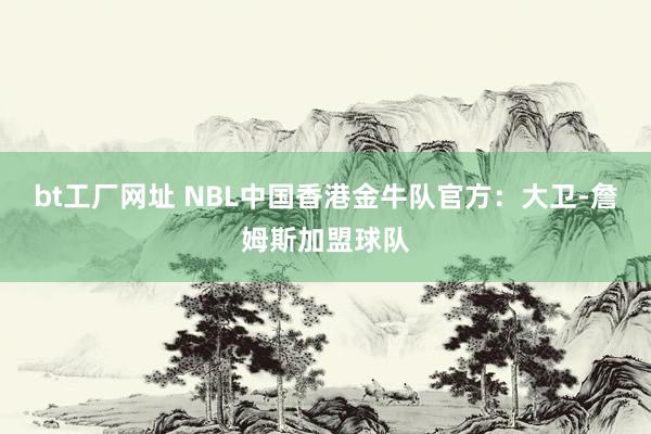 bt工厂网址 NBL中国香港金牛队官方：大卫-詹姆斯加盟球队