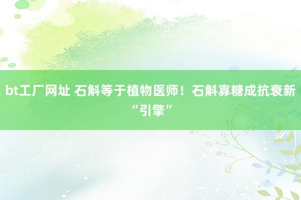 bt工厂网址 石斛等于植物医师！石斛寡糖成抗衰新“引擎”