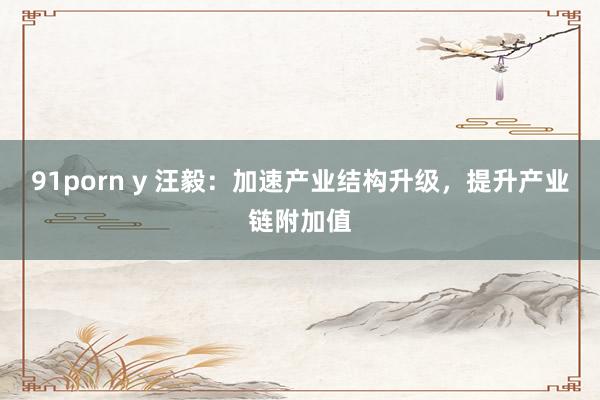 91porn y 汪毅：加速产业结构升级，提升产业链附加值