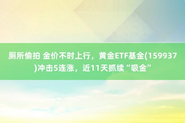 厕所偷拍 金价不时上行，黄金ETF基金(159937)冲击5连涨，近11天抓续“吸金”