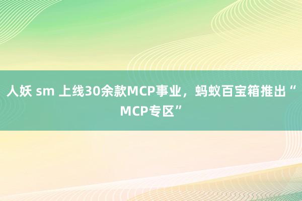 人妖 sm 上线30余款MCP事业，蚂蚁百宝箱推出“MCP专区”