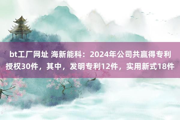 bt工厂网址 海新能科：2024年公司共赢得专利授权30件，其中，发明专利12件，实用新式18件