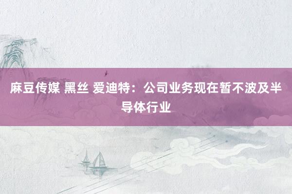 麻豆传媒 黑丝 爱迪特：公司业务现在暂不波及半导体行业