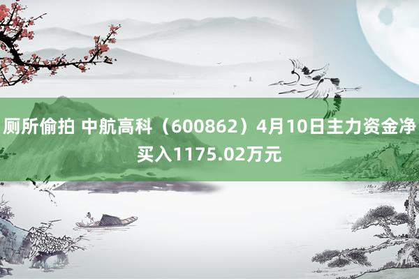 厕所偷拍 中航高科（600862）4月10日主力资金净买入1175.02万元