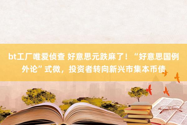 bt工厂唯爱侦查 好意思元跌麻了！“好意思国例外论”式微，投资者转向新兴市集本币债