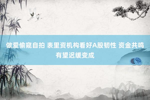 做爱偷窥自拍 表里资机构看好A股韧性 资金共鸣有望迟缓变成