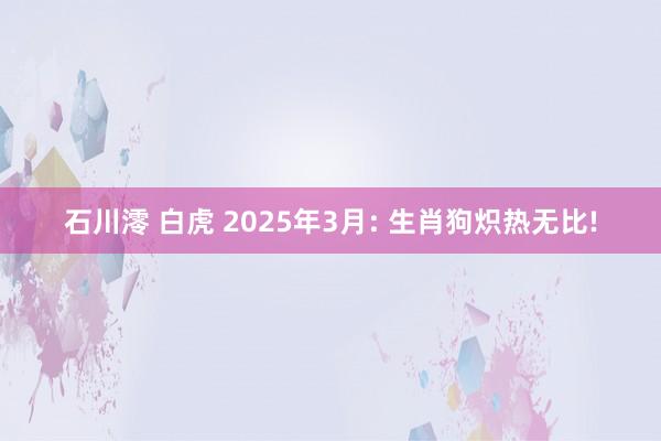 石川澪 白虎 2025年3月: 生肖狗炽热无比!