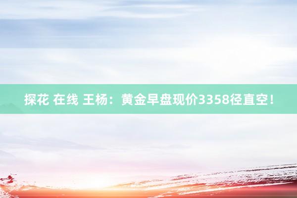探花 在线 王杨：黄金早盘现价3358径直空！