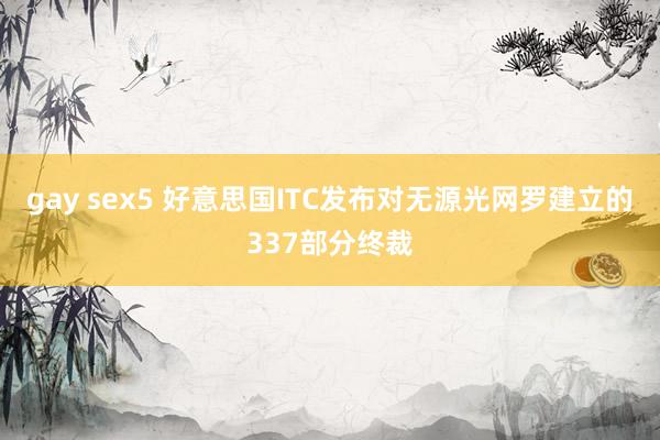 gay sex5 好意思国ITC发布对无源光网罗建立的337部分终裁
