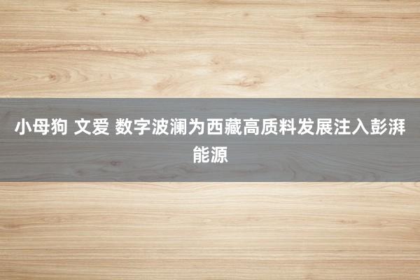 小母狗 文爱 数字波澜为西藏高质料发展注入彭湃能源
